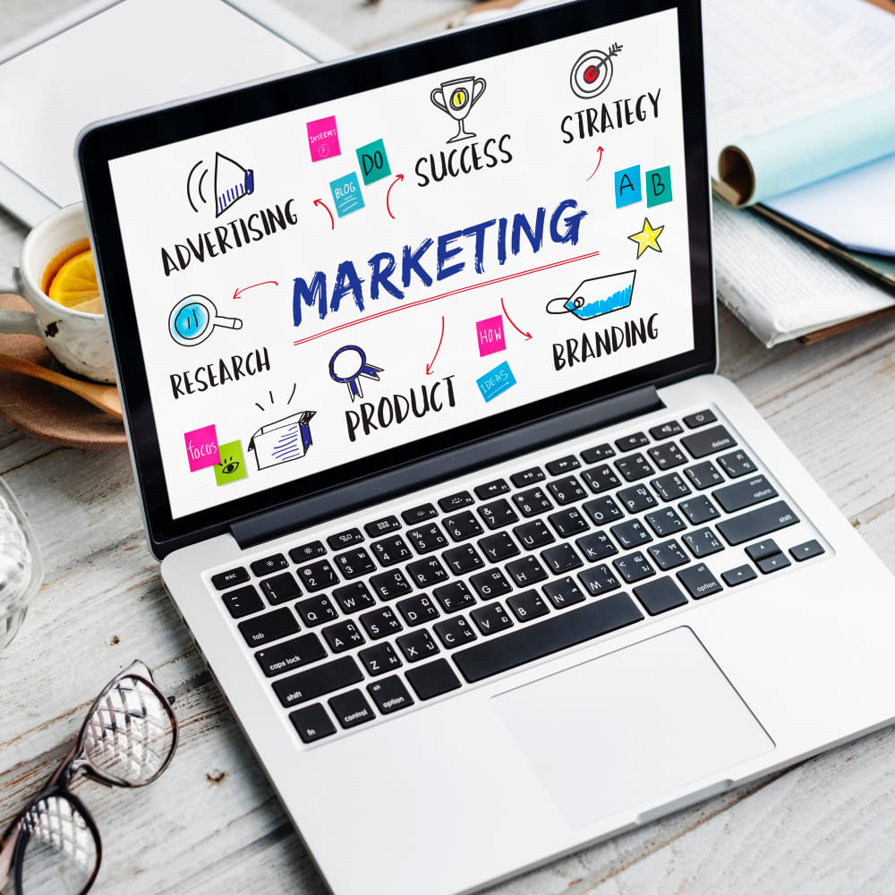 Marketing & Référencement